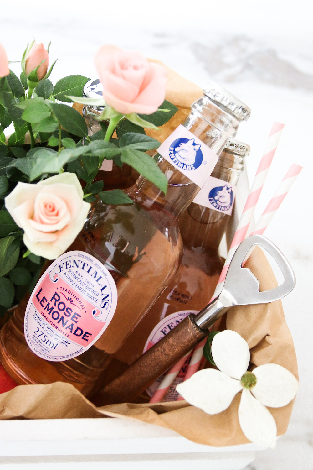 IMG_2574-2 - Monika Hibbs