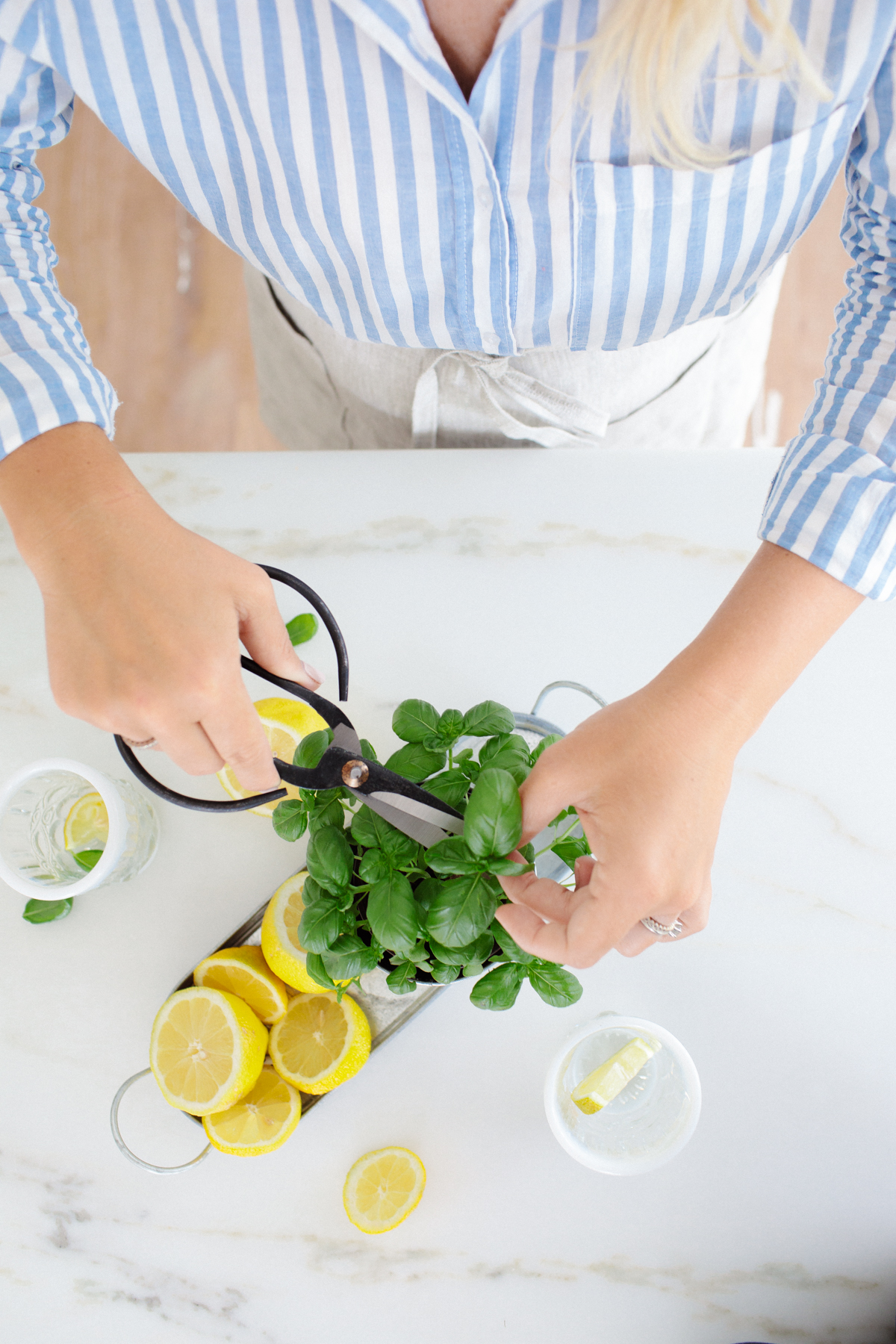 Basil Lemonade Recipe 