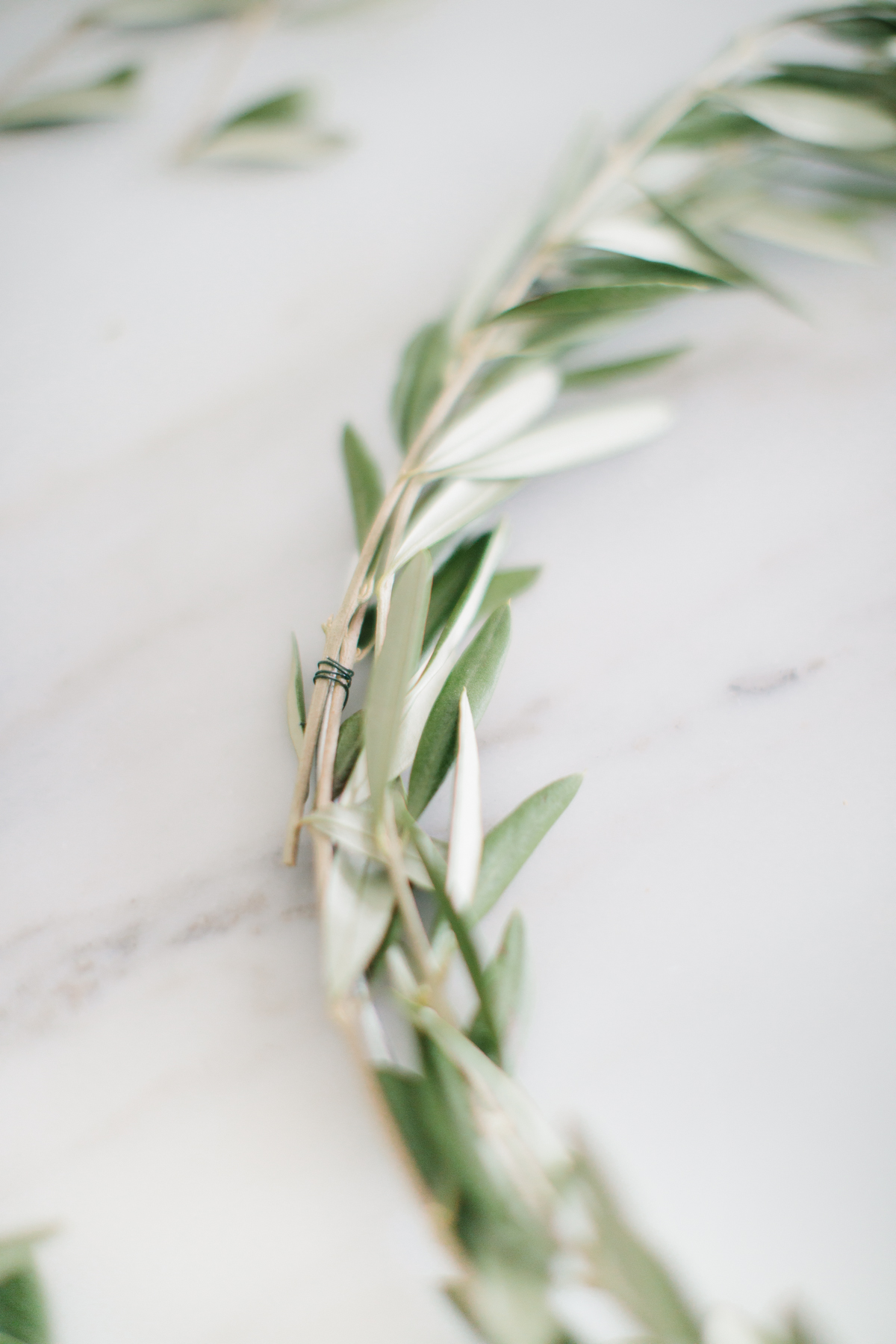 Olive wreath