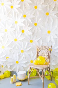paper daisy backdrop