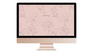 pink line art floral desktop background with January Calendar mocked up on a monitor