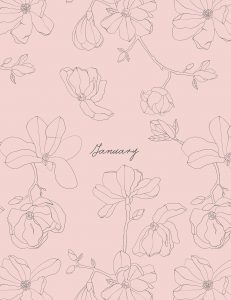 pink line art floral desktop background with January