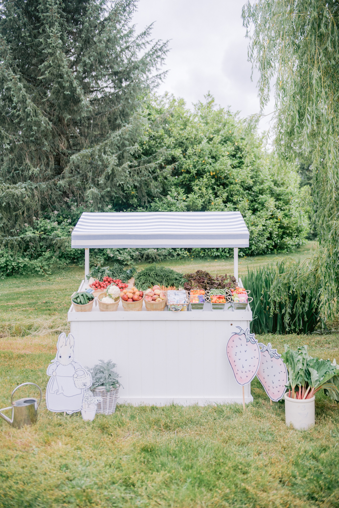 Peter rabbit outdoor party food table