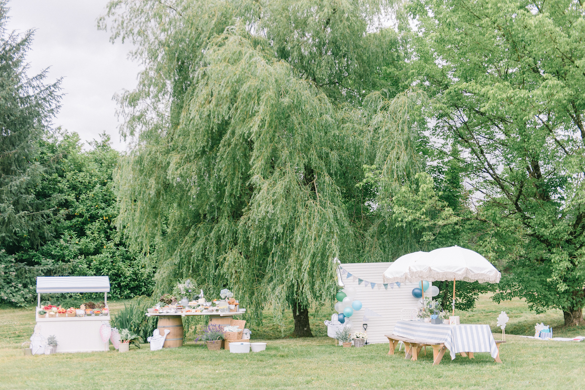 Adorable Peter Rabbit 1st Birthday Party - Pretty My Party