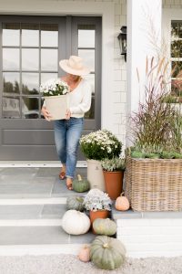 Monika Hibbs outside Potted plants and pumpkins on exterior steps