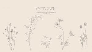 October Desktop - Lunaria