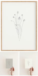 echinacea-prints