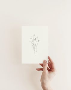 Echinacea-in-Cream-print-5x7